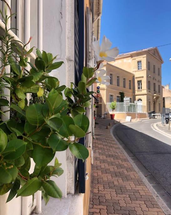 Studios Du Marin Sur Port De Λα Σιοτά Εξωτερικό φωτογραφία